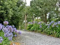 Gartenbilder NZ (2).webp