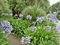 Gartenbilder NZ (3).webp