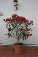 IMG_4303.webp