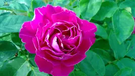 WP_20130810_009.webp