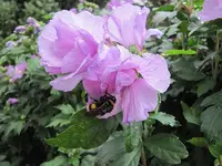 037.webp