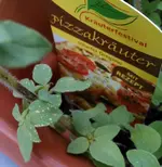 Oregano weiße Punkte.webp
