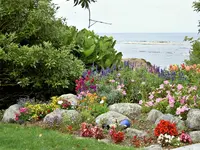 Gartenbilder NZ (4) v.webp