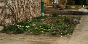 Haus 151.1.webp