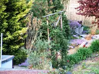 Haus 174.1.webp