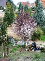Haus 178.1.webp