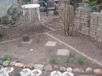 CIMG2861.1.webp