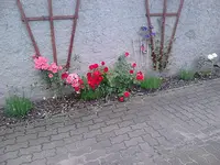 DSC_0046.1.webp