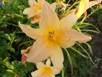 DSCN0903.webp