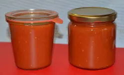 DSC_6729_passierte_Tomaten.webp