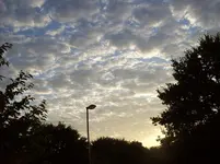 100_5491.webp