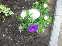 100_5530.webp