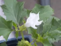 DSCF3247.webp