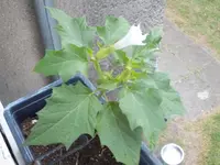 DSCF3249.webp