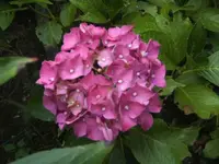 BILD2363.webp