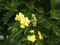 BILD2360.webp