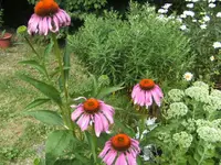 BILD2359.webp