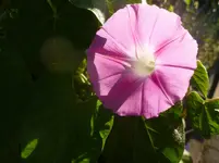 P1080121.webp