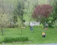 wiese.webp