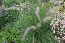 2013_0811Sommer0001.webp