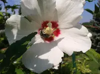 2013-08-12 10.44.44.webp
