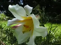 BILD2272.webp