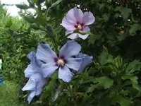 BILD2348.webp