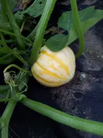 20130812_183854 (Small).webp