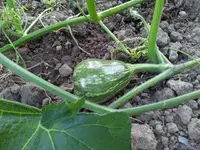 20130812_184123 (Small).webp