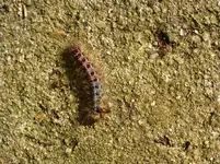 P1000225.webp