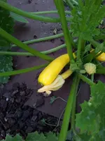 20130812_183644 (Small).webp