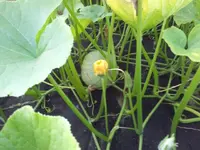 20130812_184150 (Small).webp