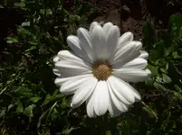 100_5543.webp