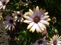 100_5544.webp