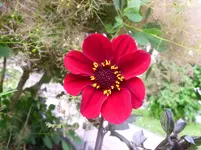P1070255.webp