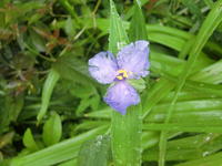 CIMG6884.webp