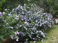 BILD2384.webp