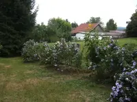 BILD2382.webp