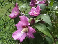 BILD2388.webp
