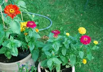 DSC_7856.3.webp