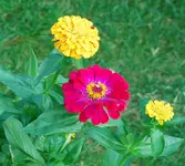 DSC_7856.2.webp