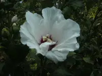 BILD2332.webp
