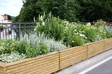 Gartenschau 12.08,13 (3).webp