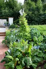 Gartenschau 12.08.13 (4).webp