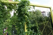 Gartenschau 12.08.13 (5).webp
