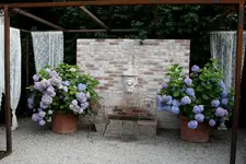 Gartenschau 12.08.13 (8).webp