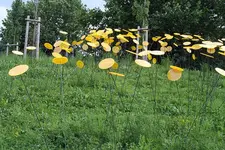 Gartenschau 12.08.13 (9).webp