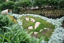 Gartenschau 12.08.13 (11).webp