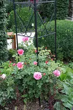 Gartenschau 12.08.13 (13).webp