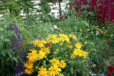 Gartenschau 12.08.13 (18).webp